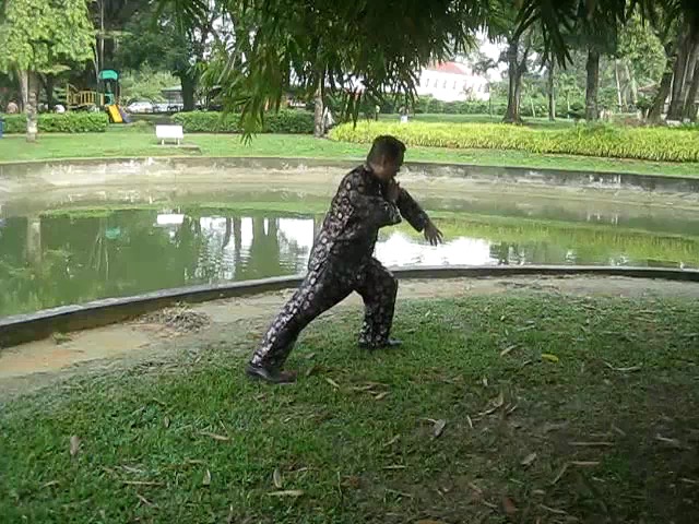 Shaolin 72 Chin-Na Techniques 2015